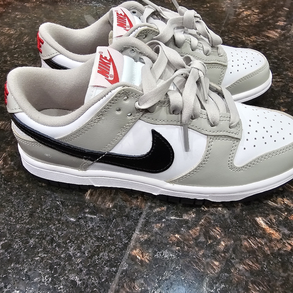 Nike Dunk Low light iron ore